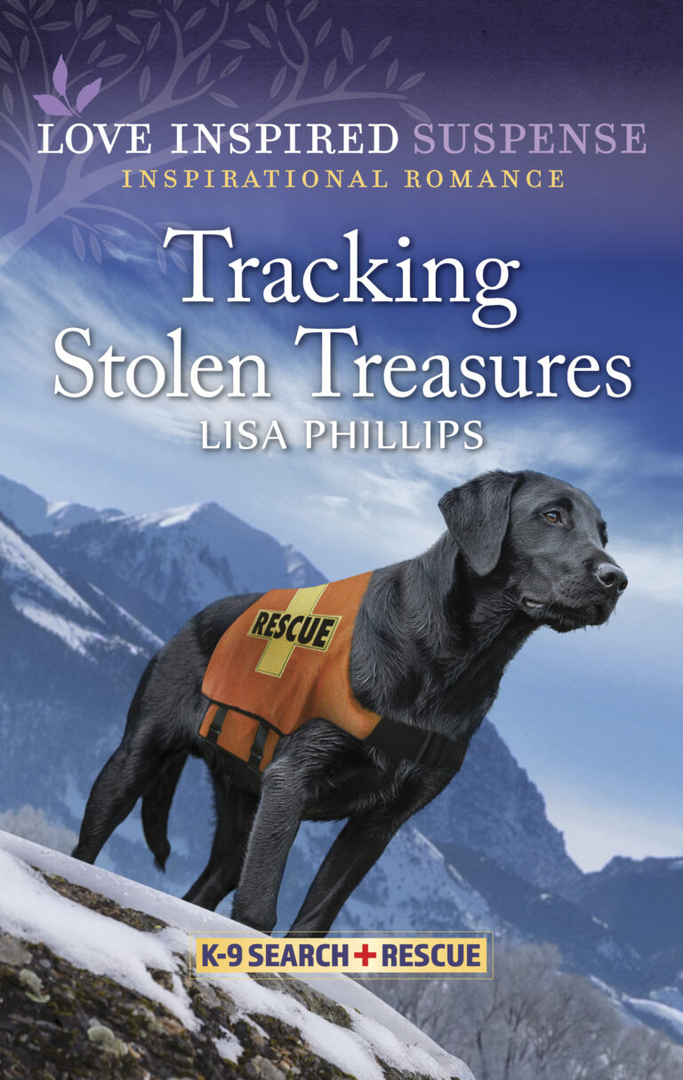 Tracking Stolen Treasures - LIS - Lisa Phillips